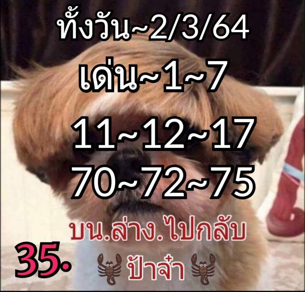 หวยหุ้นวันนี้ ชุดที่ 1